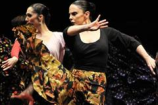 Il Flamenco Festival