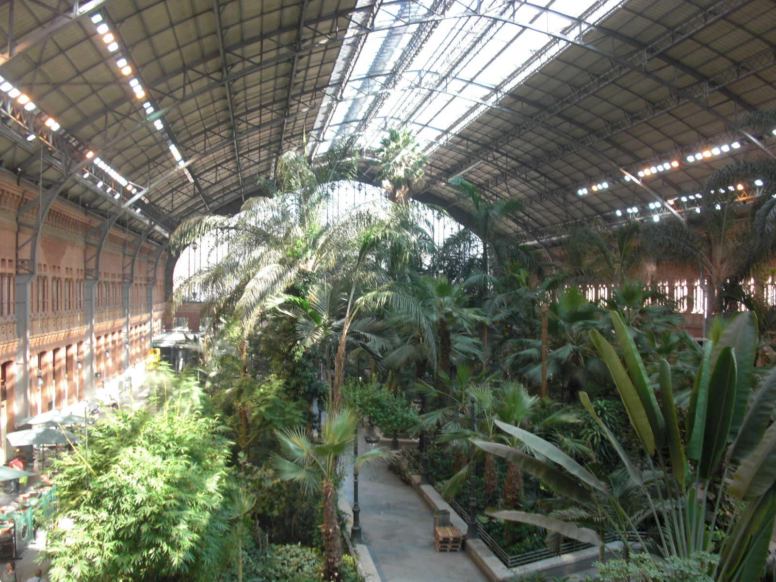 Giardino Tropicale di Atocha Giardino Tropicale di Atocha