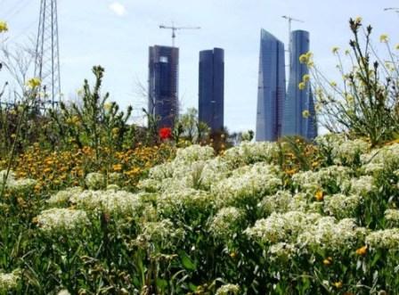 Madrid-in-Primavera